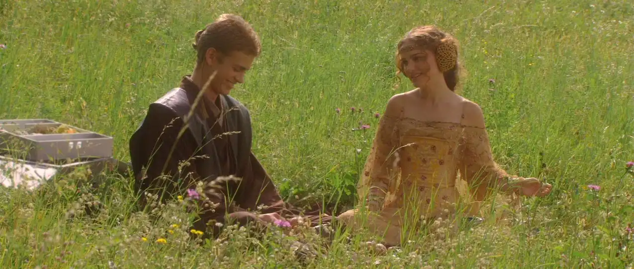 Anakin and Padme spending time together in a meadow.